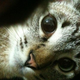Image for article titled Shooting Challenge: Cellphone Gallery Part 5